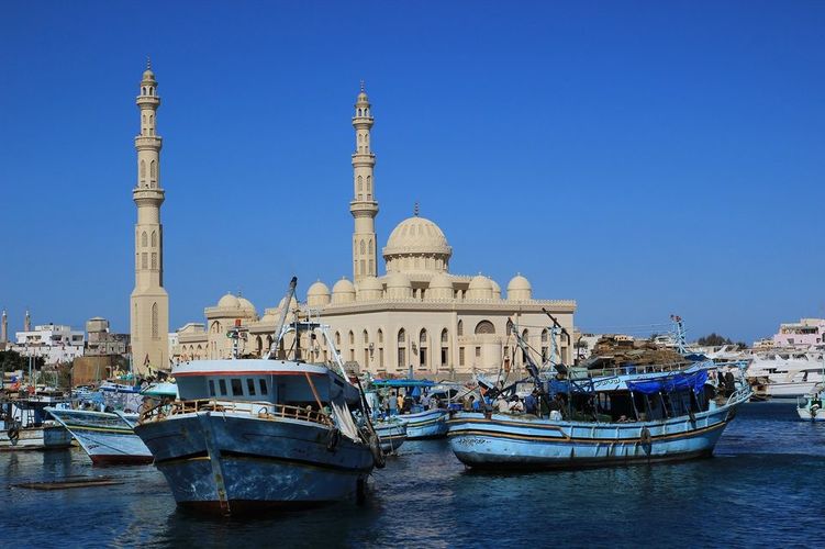 Day Tour to Cairo from Alexandria Port