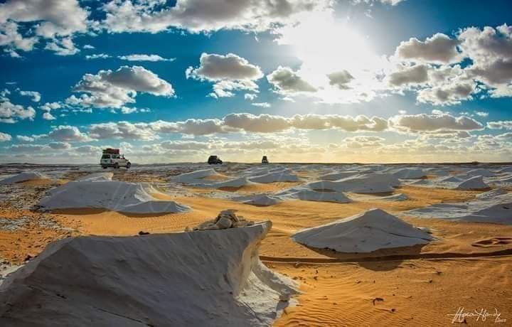 Safari and Desert